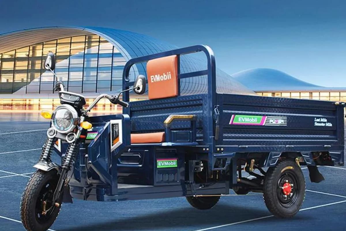 Flag Ship electric logistics tricycle